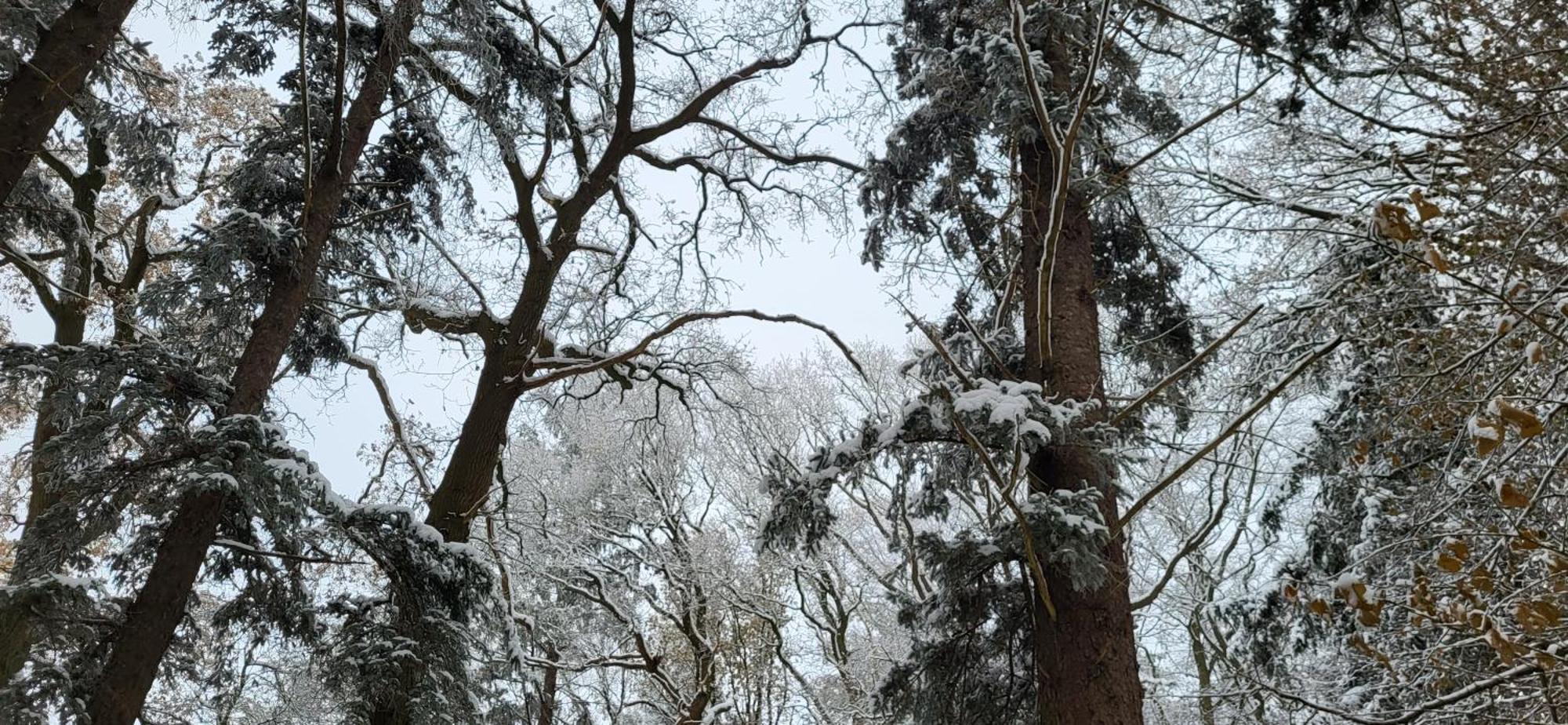 Haus Theda Villa Fockbek Екстериор снимка